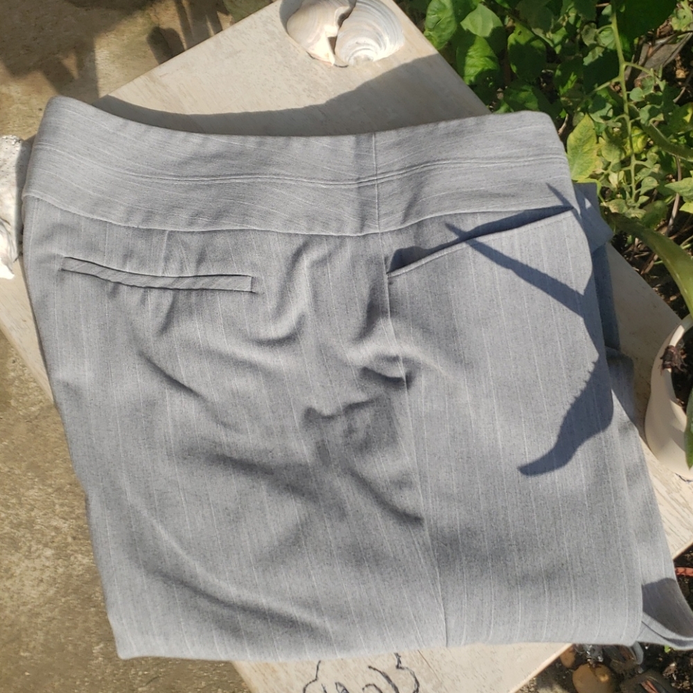 Express Editor Pants